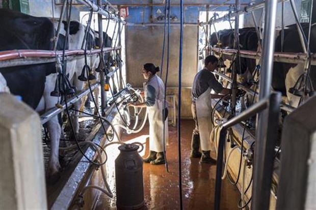El sector busca recomponer producción